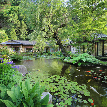 心を浄化してくれる日本庭園3649532