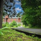 白馬五竜 ホテル ステラベラ（長野県 リゾートホテル） / 4