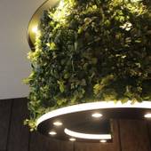 ホテルハルロット福岡博多（福岡県 ビジネスホテル） / 2