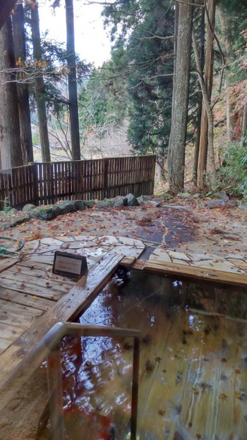 2. 神明温泉いろりの宿 湯元すぎ嶋（岐阜県）4238938
