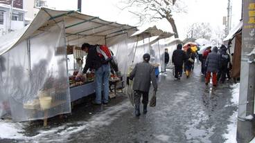 観光スポット / 26