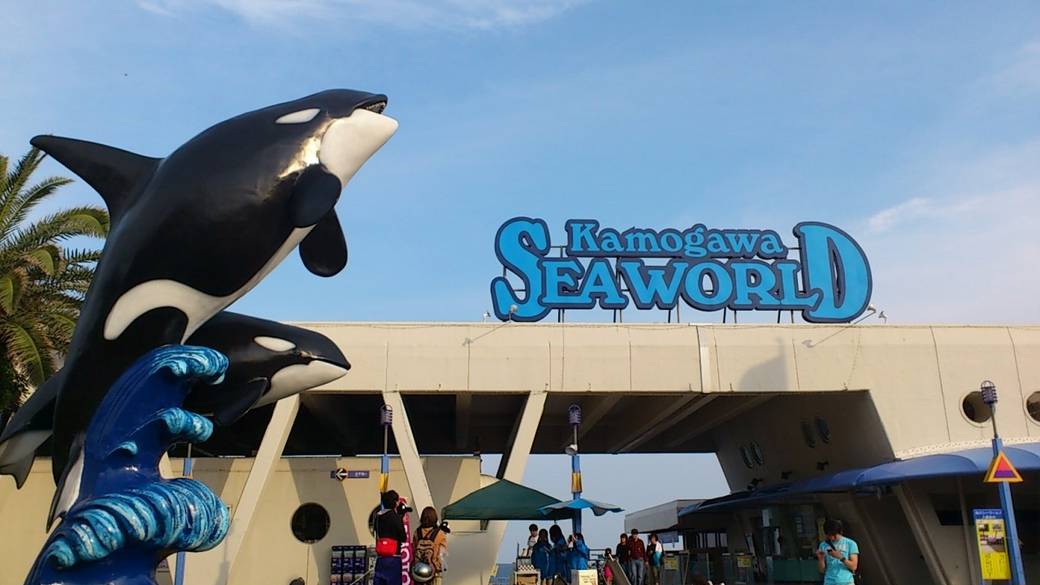 「鴨川シーワールド」で
大迫力のショーに驚き！ / 1