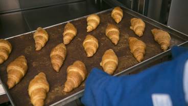 食事・飲み物 / 1