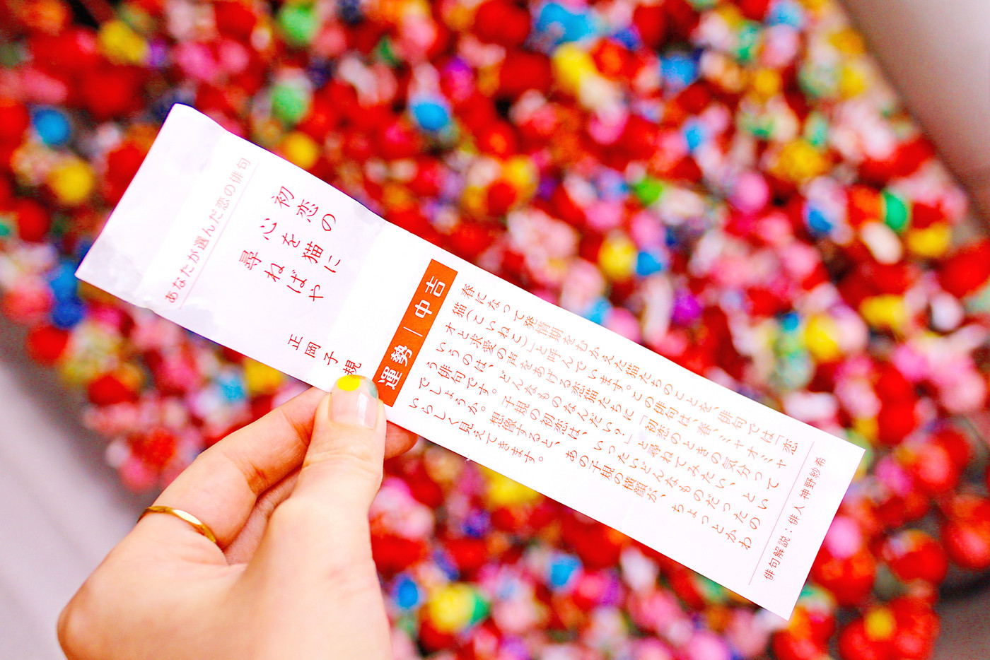 【愛媛】松山　圓満寺　お結び玉を背景に女性が持つ俳句恋みくじ（明るめ加工）