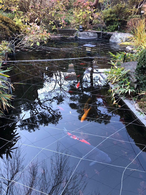 reika_iさんの写真 / 2