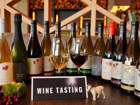 ホテル＆コンドミニアム 一花（HITOHANA） / 5