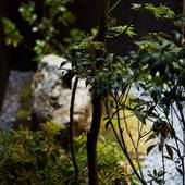 宿ルKYOTO HANARE 奏ノ宿（京都府 町家） / 4