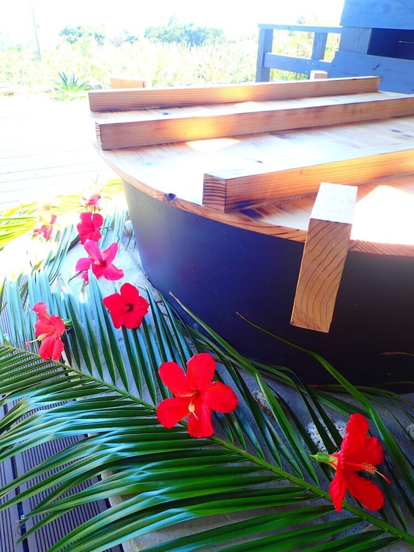 テラス / パティオ