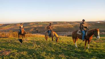 施設内の設備 / 12