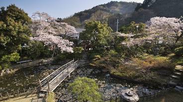 日本庭園① / 3