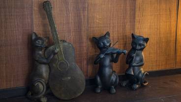 リビング エリア / 8