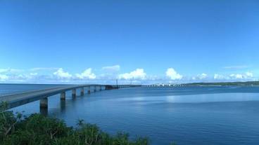 観光スポット / 11