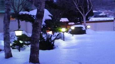 施設の敷地 / 23