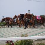 ばんえい競馬の魅力って何？おすすめの帯広グルメもご紹介！