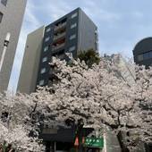 HOTEL ffosaka（大阪府 アパートメント） / 5