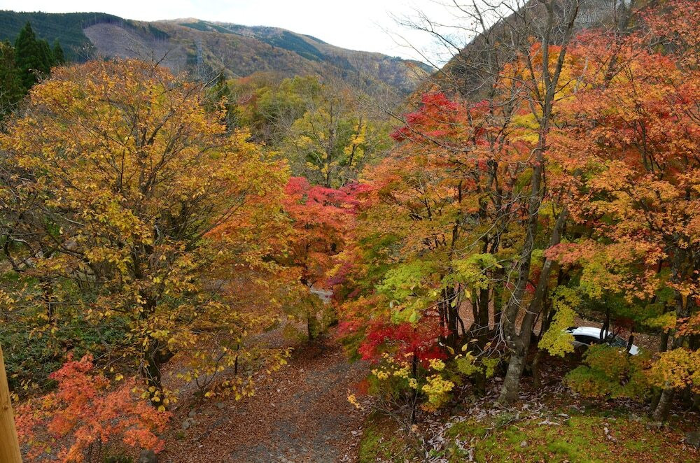 施設からの眺望