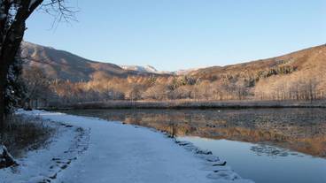 ランド ビュー / 16