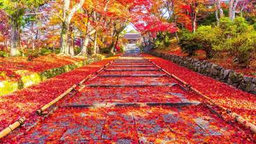 シティ ビュー / 11