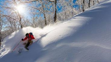 スノー スポーツとスキー / 2