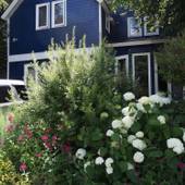 ベルキャビンゲストハウス（長野県 ゲストハウス・ホステル・ドミトリー） / 3