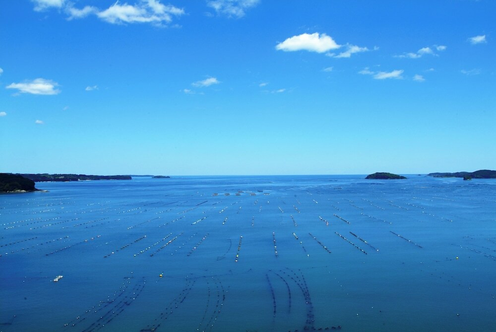 ビーチ / オーシャン ビュー