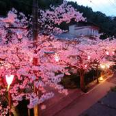 城崎温泉 泉都（兵庫県 旅館） / 2