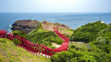 ランド ビュー / 15