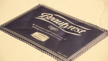 客室の設備とサービス / 14