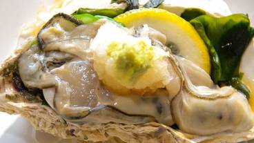 食事・飲み物 / 12