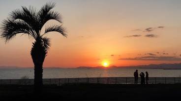 敷地内から見た夕日① / 4