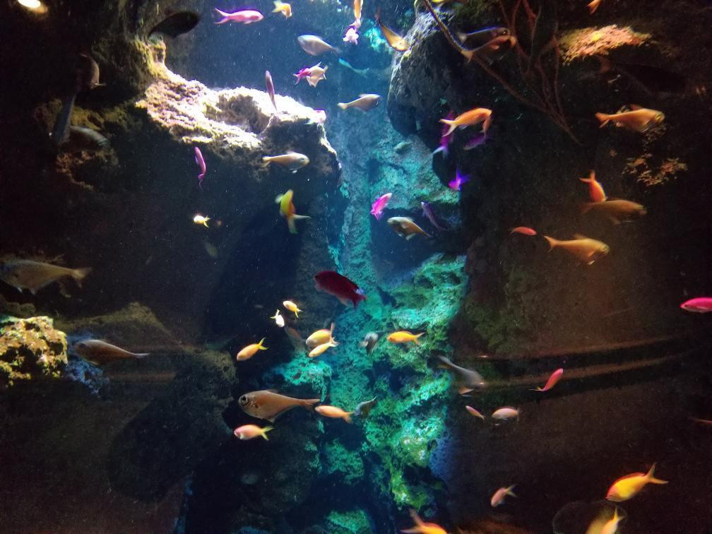 na_kirakira0113さんの写真 / 2