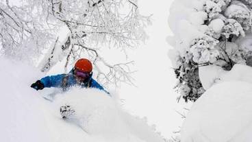 スノー スポーツとスキー / 2