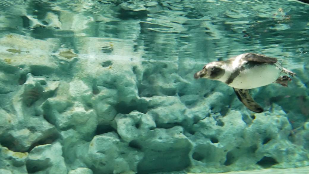 DMMかりゆし水族館 / 4