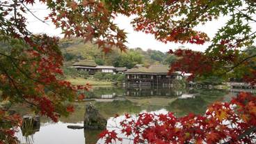 施設からの眺望 / 12