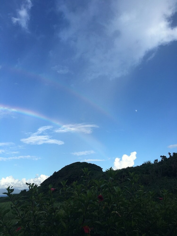 ラ カシータ古宇利（ラ カシータコウリ） / 4