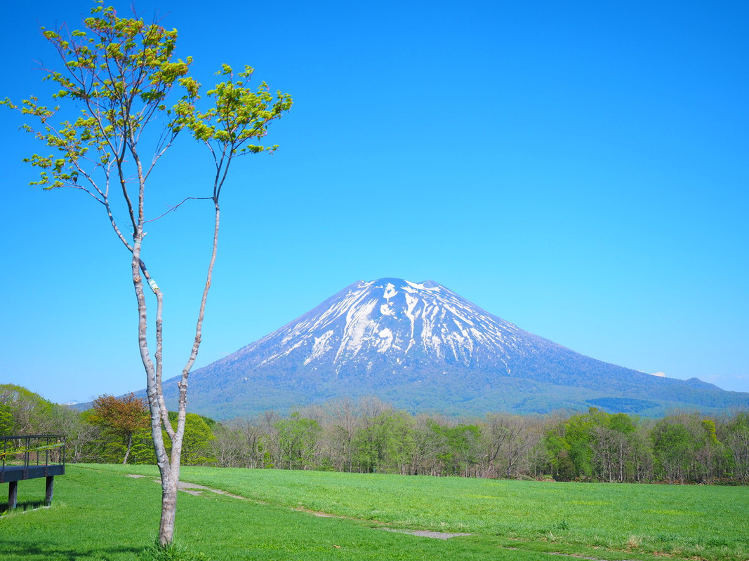 ニセコ高橋牧場