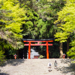 「霧島」でふたりの思い出づくり♡カップルにおすすめのスポット16選／鹿児島