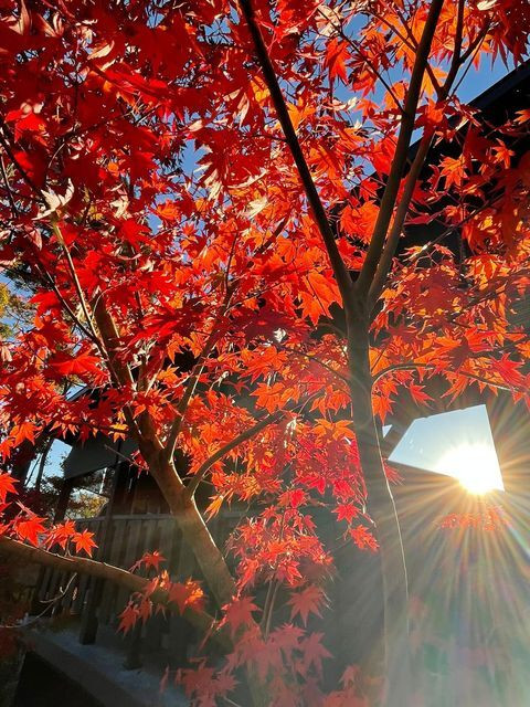 marc_maru0128さんの写真 / 5