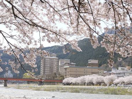 下呂温泉 水明館 / 5