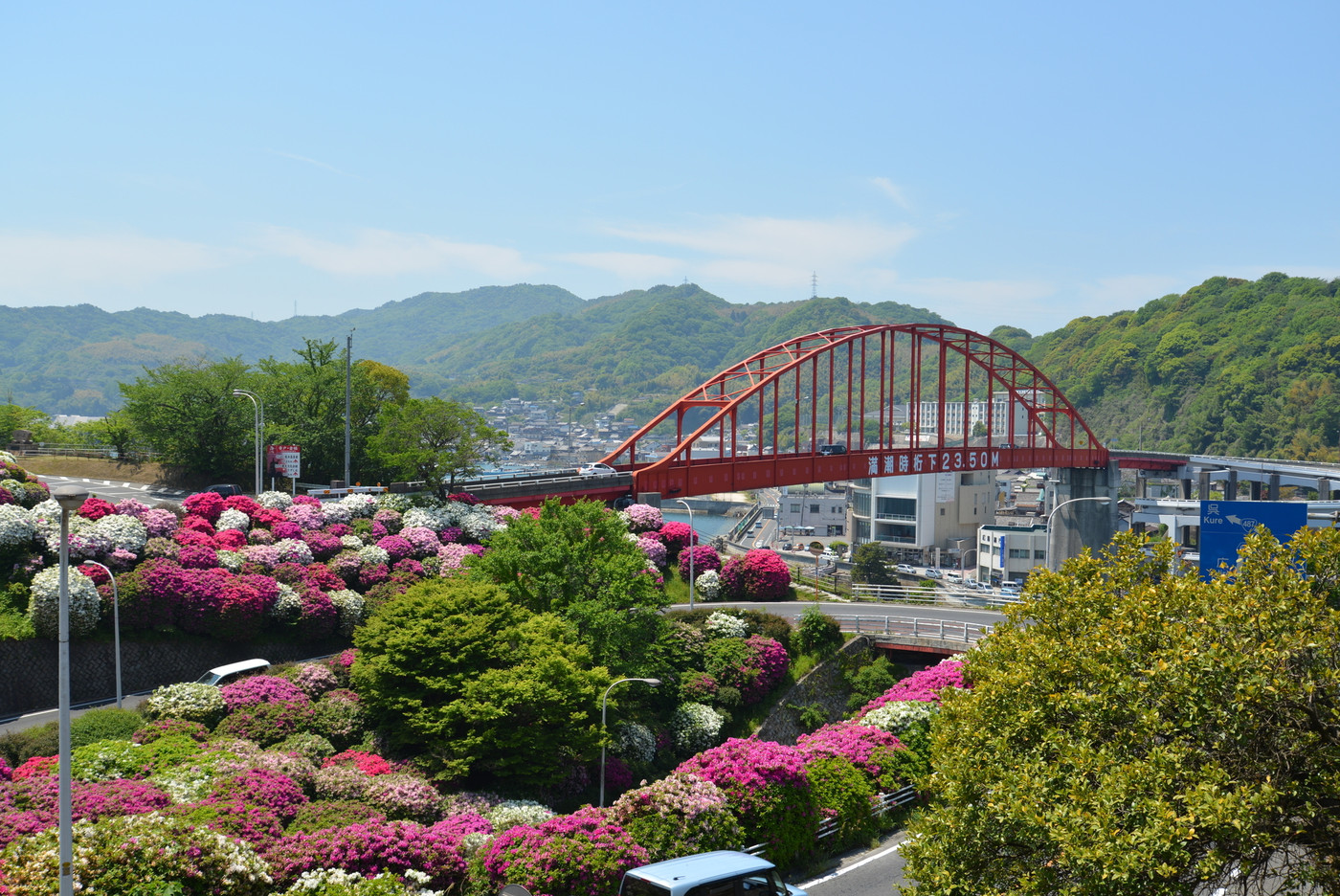音戸大橋とつつじ(広島県呉市)