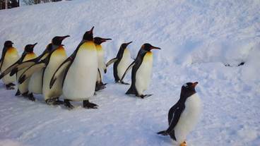 子供向けアクティビティ / 8