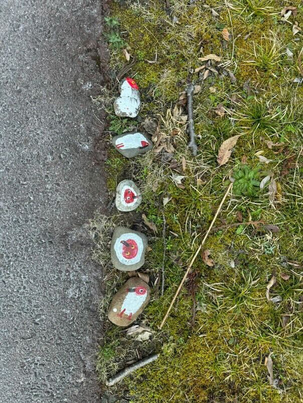 t._.mihoさんの写真 / 5