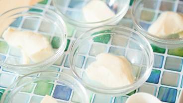 食事・飲み物 / 12