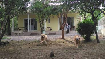 メイン イメージ / 1