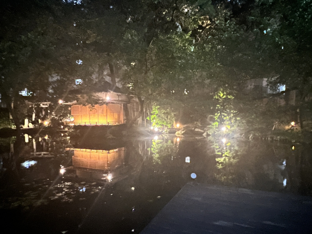 夜はこんな感じ。