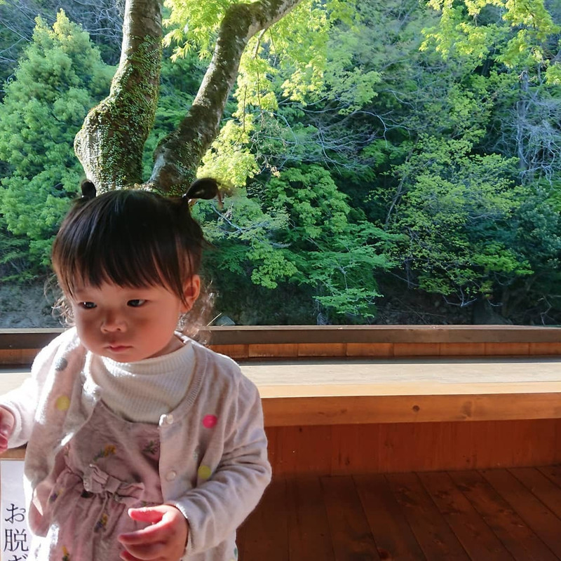 appleko.0301さんの写真 / 1