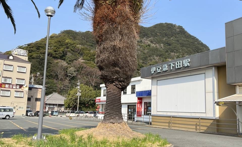 透明感ある海が魅力の
伊豆下田エリアへ / 4