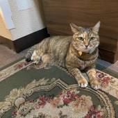 ホテル ダイキ（大阪府 ビジネスホテル） / 3