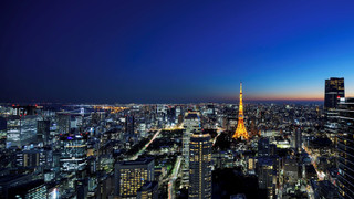 ルーム キングベッド 1 台 (Tower View)