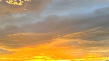 施設からの眺望 / 29